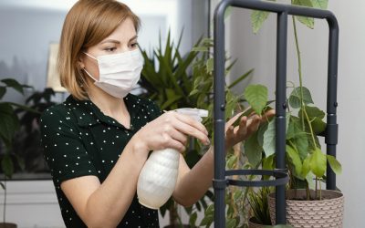 6 Pentingnya Detoksifikasi di Lingkungan Rumah